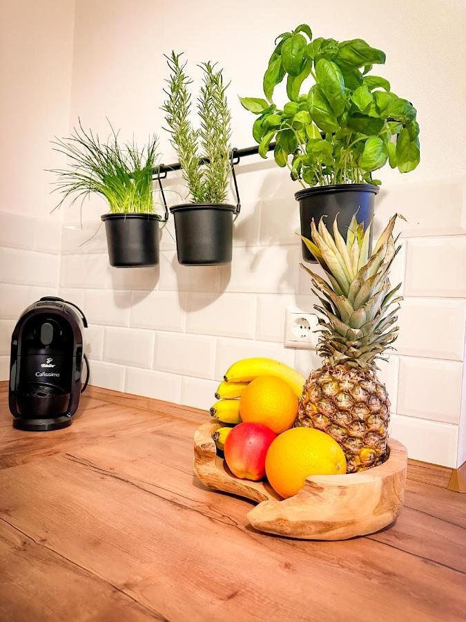 Schoenes Modernes Einfamilienhaus Fuer 1 Bis 6 Personen Rimpar 外观 照片